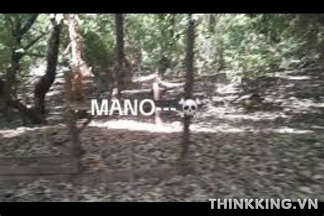 portal zacarias mangue 568|Portal Zacarias Mangue 568 Vídeo Original Sem Censura.
